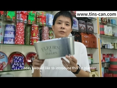 Ovais galvanizados zincam o potenciômetro do plantador do vaso do metal para a decoração do jardim de flores